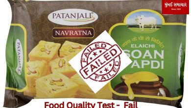 Patanjali's son papadi fails quality test, 3 including assistant manager jailed