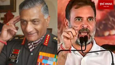 Rahul Gandhi should work in army first: VK Singh