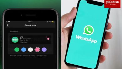 upcoming new feature, the theme of WhatsApp will be set according to your favorite color