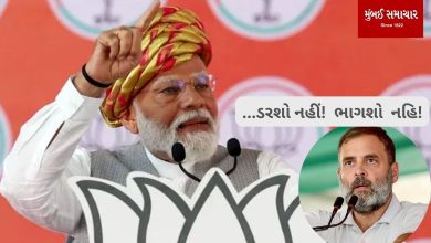 Loksabha Election 2024: Don't be afraid, don't divide, PM Modi attacks Rahul Gandhi who is contesting from Rae Bareli