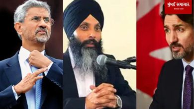 'Canada only makes allegations, not evidence of Nijjar Murder Case': Foreign Minister S Jaishankar