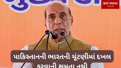 Rajnath Singh lashed out at the Congress, saying Pakistan has no capacity to interfere in India's elections