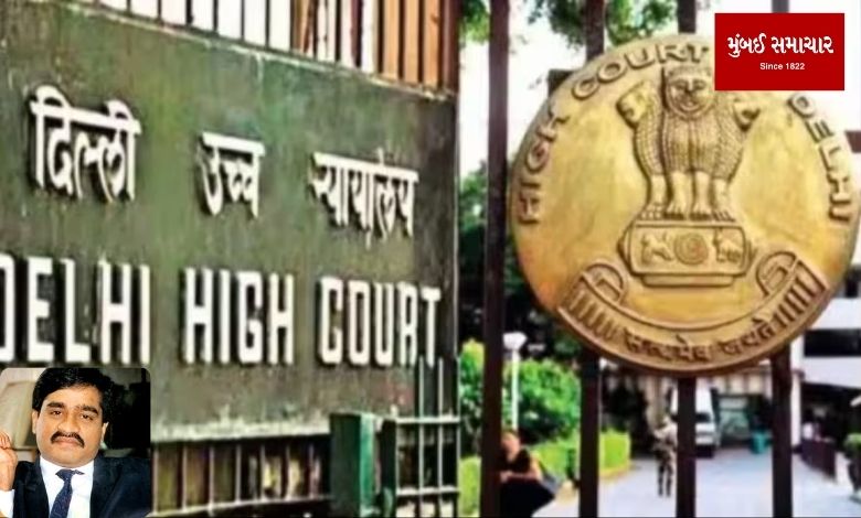'Then Dawood Ibrahim will also campaign for election...', why did the Delhi High Court reject the petitioner? know