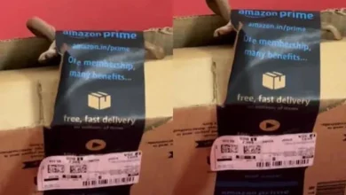 Live Cobra Amazon package Bengaluru viral video
