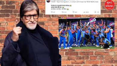 Amitabh Bachchan made a post on Team India's win...