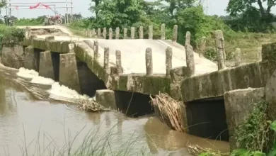 Bihar Bridge collapse: Another bridge collapses in Bihar, fifth incident in last 10 days