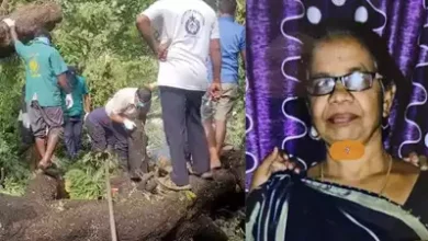Body of missing old lady in Virar found under fallen tree two days later