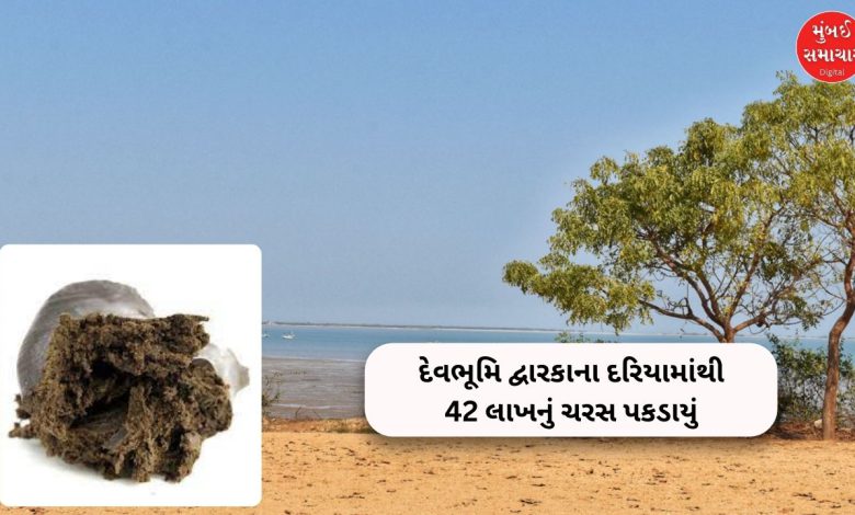 Charas worth 42 lakhs was caught from the sea of ​​Devbhoomi Dwarka