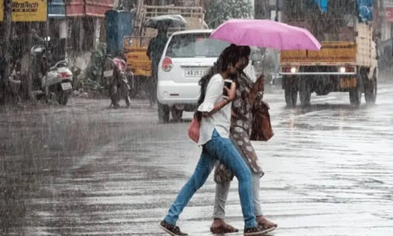 unchanged-in-valsad-district-since-early-morning-1.5-inches-of-rain