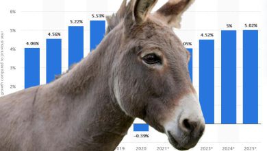 GDP is not growing but donkeys are growing