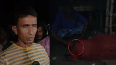 west bengal BJP Worker hafizul sheikh shot dead news in gujarati