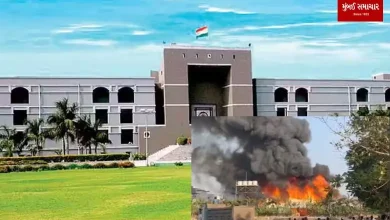 High Court hearing on Rajkot fire incident, told to submit SIT report to court by 28th