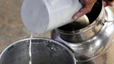 Milk scam busted rajkot jetpur worth 24 lakh