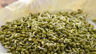 sale of moong at support price gujarat