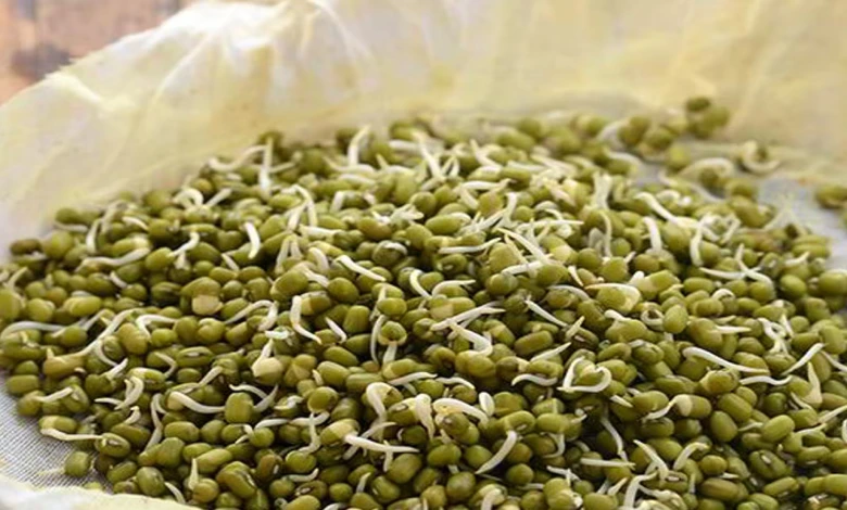 sale of moong at support price gujarat