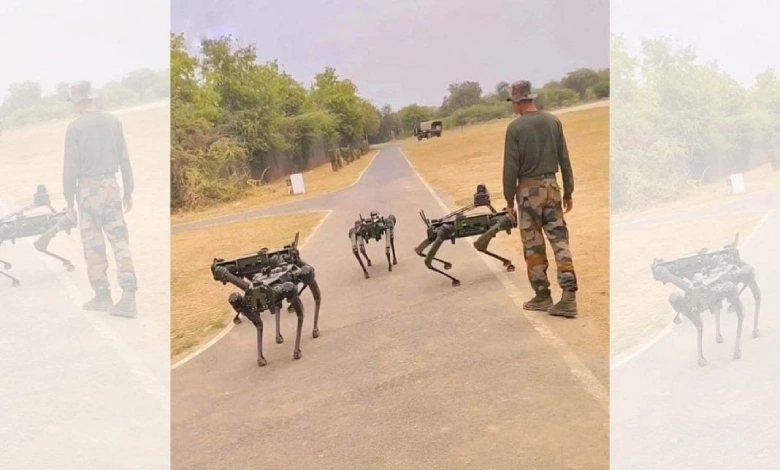 Robo dogs indian army face china LAC