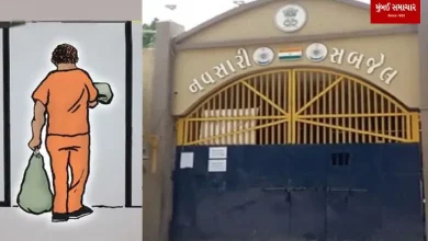 A prisoner in Navsari Sub Jail took off from Sanapat, climbed a tree and created a ruckus