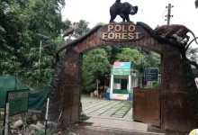 If you are planning to visit Polo Forest, keep this in mind otherwise...