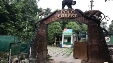 If you are planning to visit Polo Forest, keep this in mind otherwise...