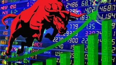 Stock market surges to record highs