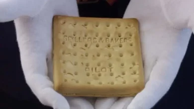 This is the World's Cosliest Biscuit! The price will make you dizzy…