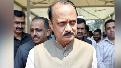 This BJP leader asked Ajit Pawar to drop out of Mahayutti and then.