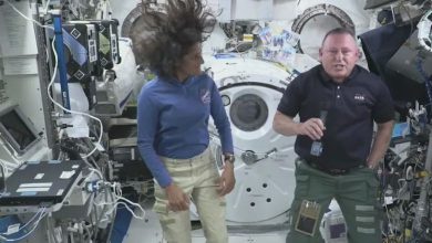 Sunita Williams: The presence of 'Spacebug' in the space station is detected