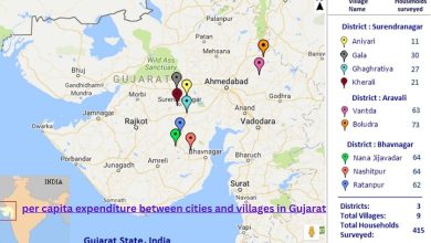 74 percent difference in per capita expenditure between cities and villages in Gujarat: Survey
