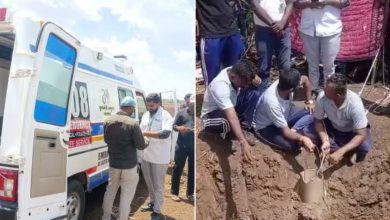 A one and a half year old girl died after falling into a borewell in Surargapara of Amreli