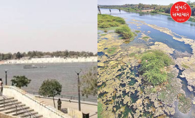 High Court slams AMC over pollution in Sabarmati river