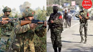 Security forces got a big success in Uri sector of Jammu Kashmir, two terrorists were killed