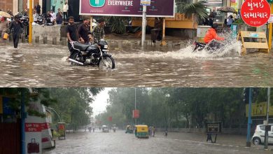 Rain in Ahmedabad: early morning spread cool atmosphere