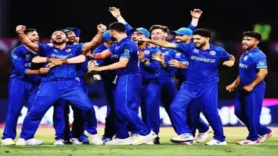 T20 World Cup 2024: Afghanistan Secure Historic T20 WC Semis Finals, Australia Out