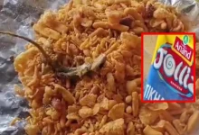 After dead frog in wafer packet, dead lizard emerges from chawan packet in Banaskantha