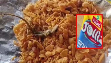 After dead frog in wafer packet, dead lizard emerges from chawan packet in Banaskantha