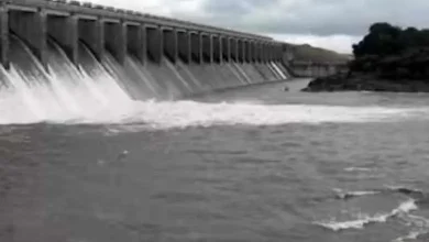 If the level of Sardar Sarovar dam rises before the rains, water is released from Bhadar 2
