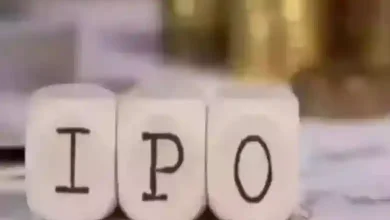 Along with the stock market, the capital market also has a bullish movement: Dozens of IPOs queue up