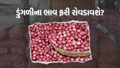 Onion Price: Will the price of onion rise again? Due to this, the price may increase drastically
