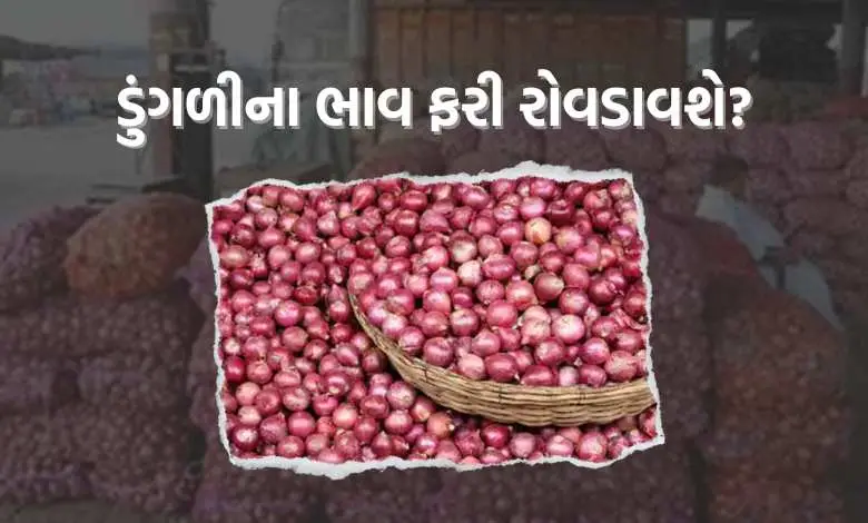 Onion Price: Will the price of onion rise again? Due to this, the price may increase drastically