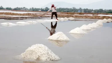 Surendranagar district broke the record of salt yielding more than 18 lakh tonnes