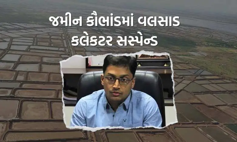 Government's strict action on Dummas land scam- Valsad collector suspended