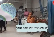 14 children died of Chandipura virus in Gujarat