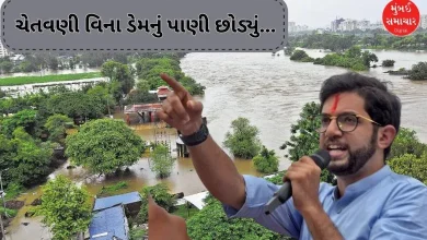 Aditya Thackeray Blame Officials For Flood Situation In Pune
