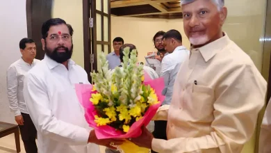 Andhra Chief Minister Chandrababu Naidu meets Shinde