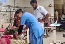 56 patients died of Chandipura virus in Gujarat total cases reached 133