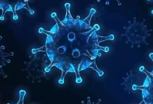 First case of Chandipura virus registered in Surat