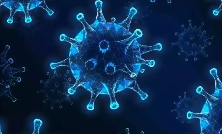 First case of Chandipura virus registered in Surat