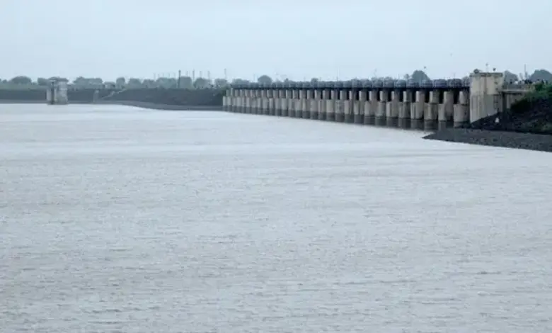 Dams including Aji and Bhadar in Rajkot are empty