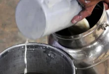 Rajkot Jetpur Fake milk factory busted