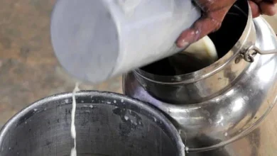 Rajkot Jetpur Fake milk factory busted